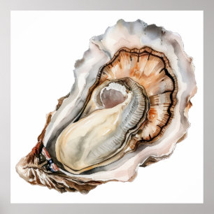 Poster Illustration détaillée de l'huître aquarelle