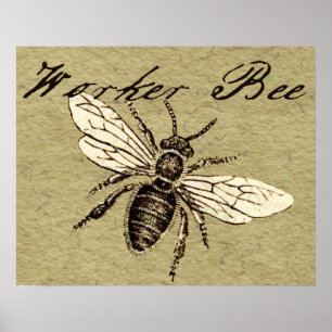 Poster Illustration d'insecte abeille ouvrière