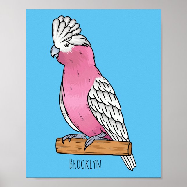 Poster Illustration d'oiseau de Galah (Devant)