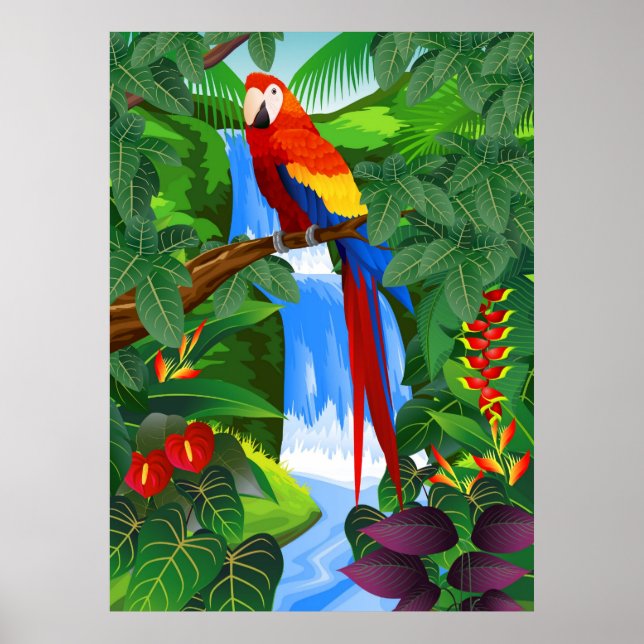 Poster Illustration d'oiseau de Macaw (Devant)