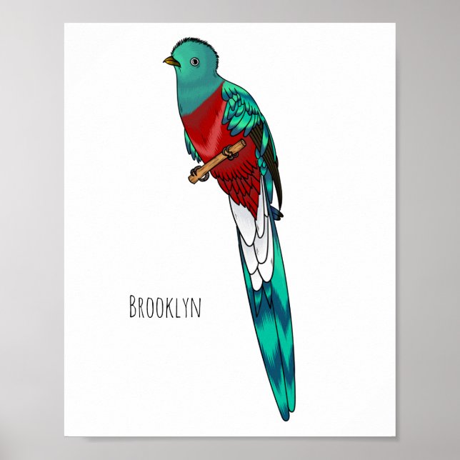 Poster Illustration d'oiseau de quetzal resplendissant (Devant)
