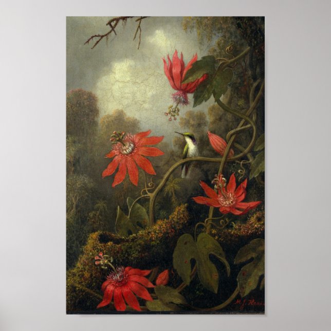 Poster Illustration d'oiseaux vintages (Devant)