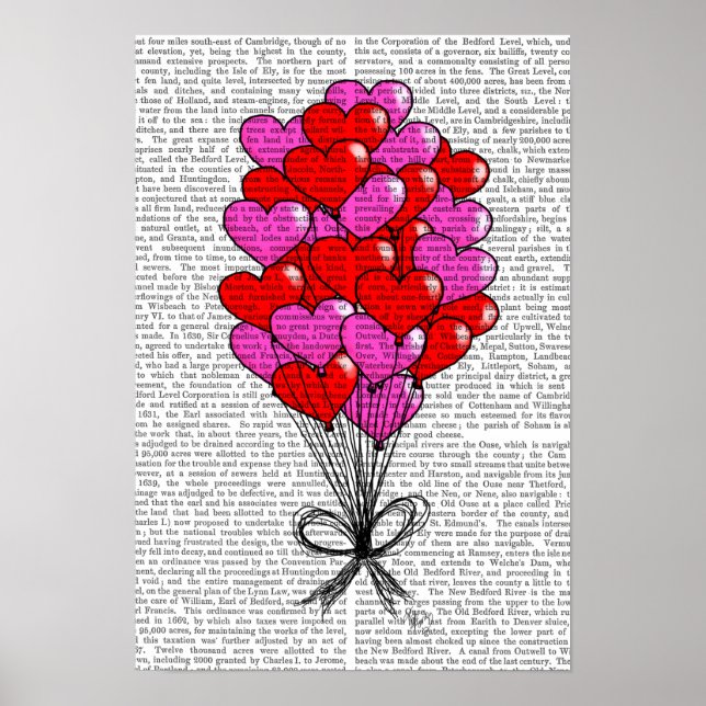 Poster Illustration du ballon Saint-Valentin (Devant)