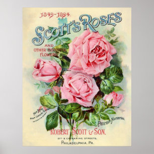 Poster Illustration du capot de catalogue de fleurs Vinta