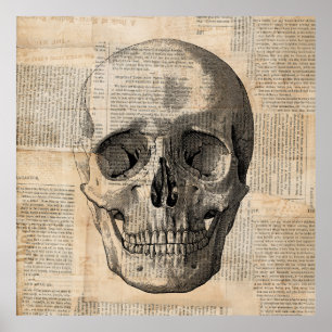 Poster Illustration du crâne antique Nouvelles de l'art V