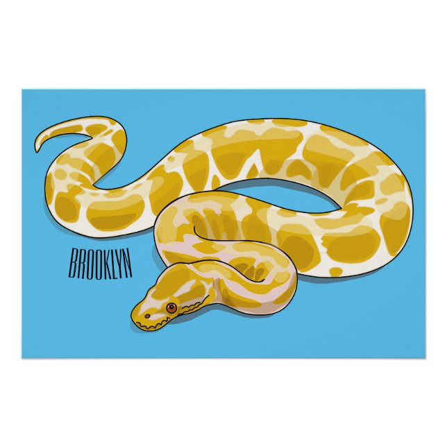 Poster Illustration du serpent python birman (Devant)
