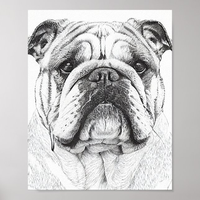 Poster Illustration d'un animal sauvage de Bulldog anglai (Devant)