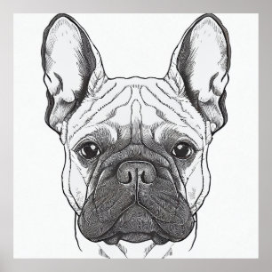 Poster Illustration d'un animal sauvage de chien de taure