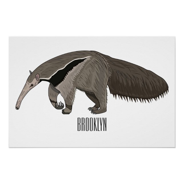 Poster Illustration d'un dessin animé d'Anteater (Devant)