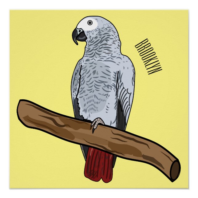 Poster Illustration d'un perroquet gris en Afrique (Devant)