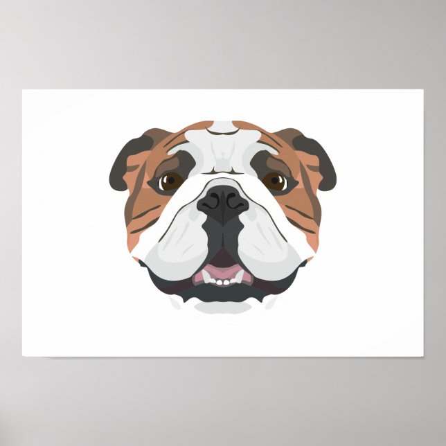 Poster Illustration English Bulldog (Devant)
