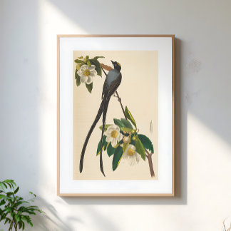 Poster Illustration florale vintage de l'oiseau à queue f