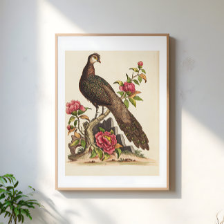 Poster Illustration florale vintage du majestueux oiseau 