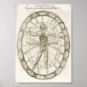 Poster Illustration Microcosmos