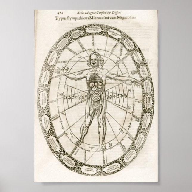 Poster Illustration Microcosmos (Devant)