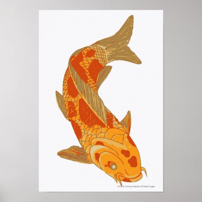 Poster Illustration numérique de Koi Carp (Devant)
