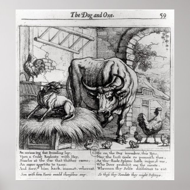 Poster Illustration pour 'Le chien et le boeuf' (Devant)