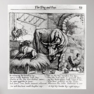 Poster Illustration pour 'le chien et l'Ox