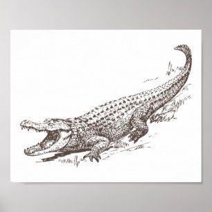 Poster Illustration réaliste d'alligator