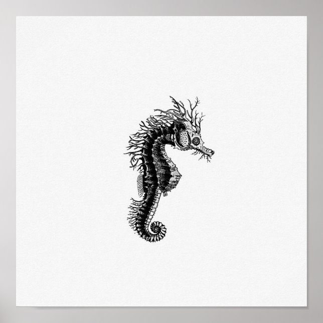 Poster Illustration Seahorse (Devant)