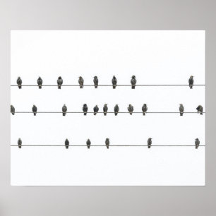 Poster Illustration tirée à la main d'oiseaux simples sur