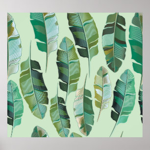 Poster Illustration tropicale Plante de banane à la mode