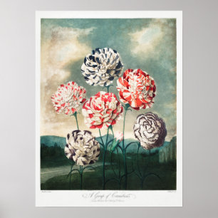 Poster Illustration vintage