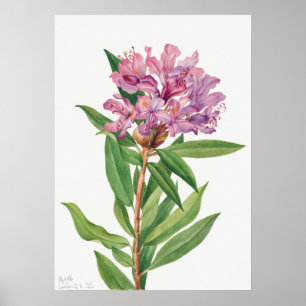 Poster Illustration vintage