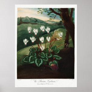 Poster Illustration vintage