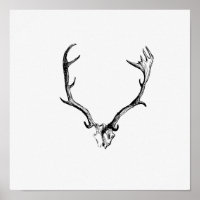 Illustration vintage Antlers