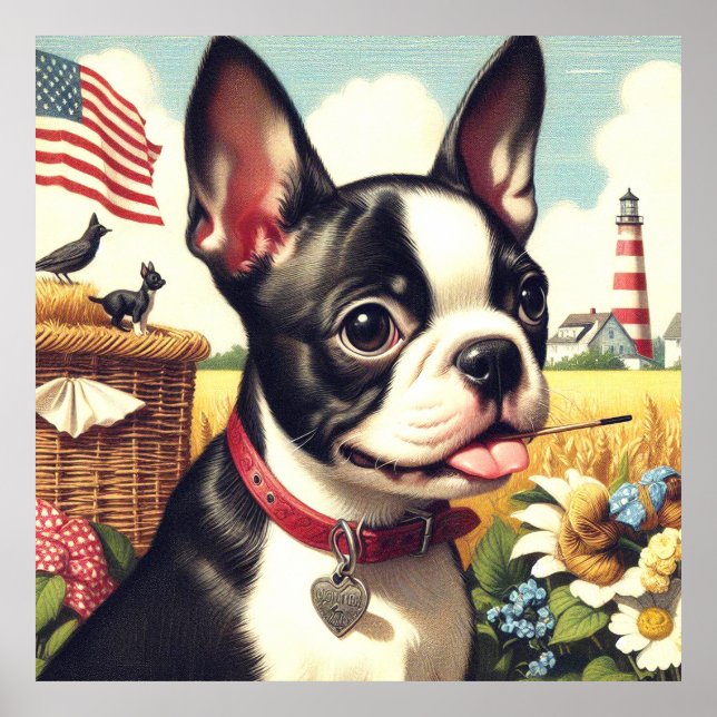 Poster Illustration vintage Boston Terrier (Devant)