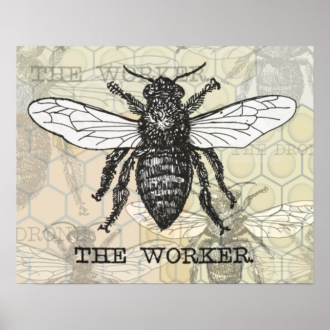 Poster Illustration vintage d'abeille ouvrière (Devant)