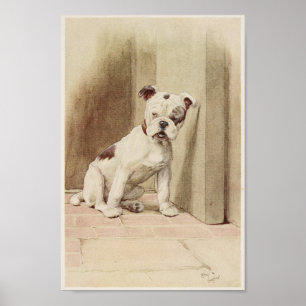 Poster Illustration vintage de Bulldog