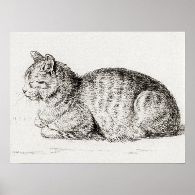 Poster Illustration vintage de chat (Devant)