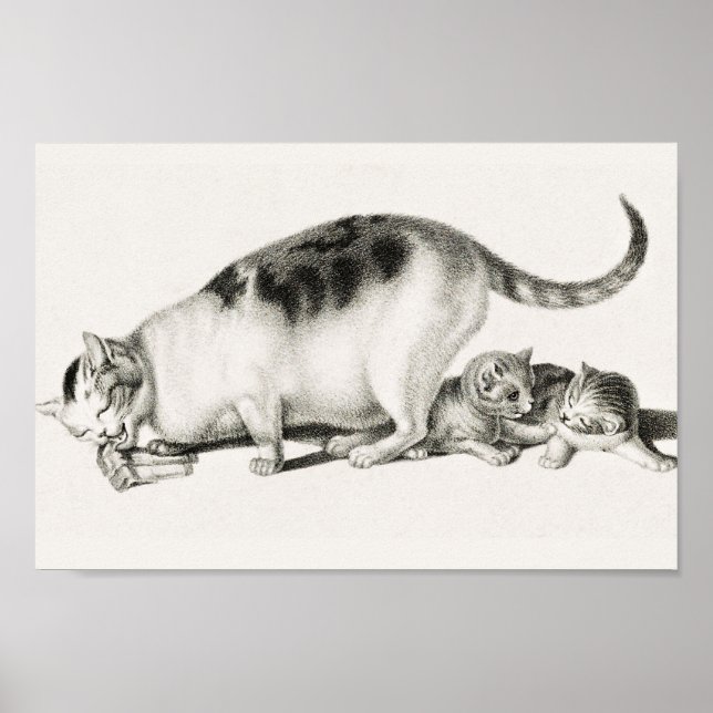 Poster Illustration vintage de chat (Devant)