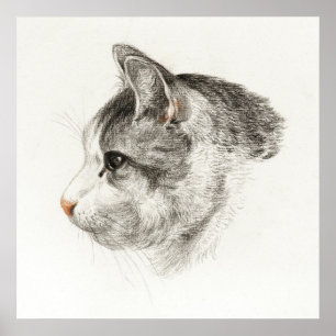 Poster Illustration vintage de chat