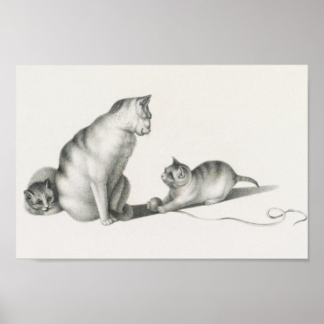 Poster Illustration vintage de chat (Devant)