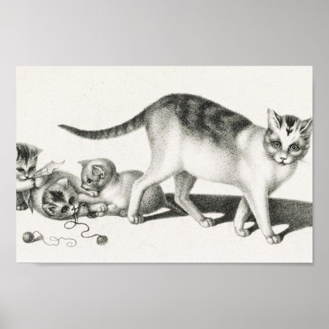 Poster Illustration vintage de chat (Devant)
