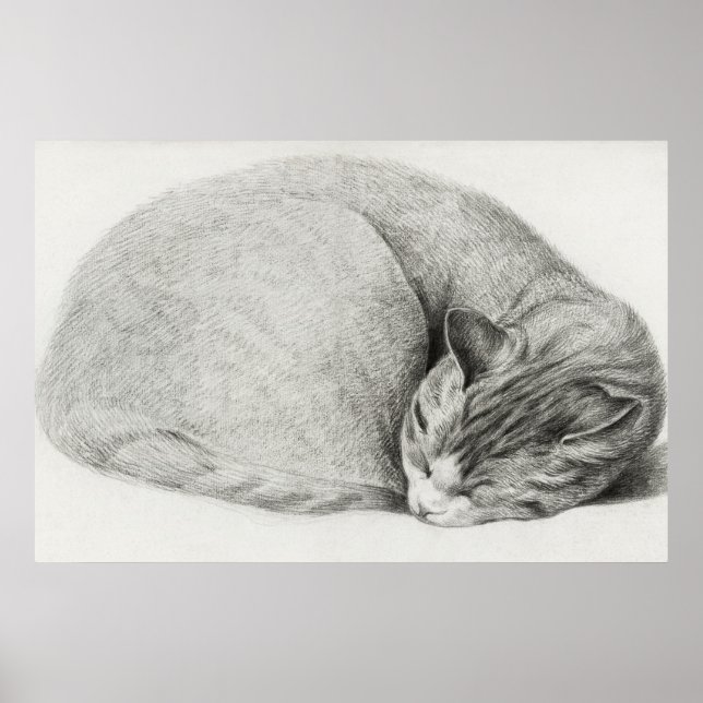 Poster Illustration vintage de chat (Devant)