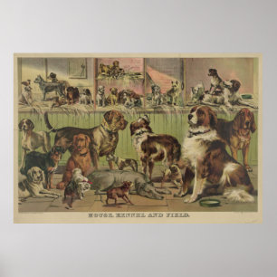 Poster Illustration vintage de diverses races de chiens (