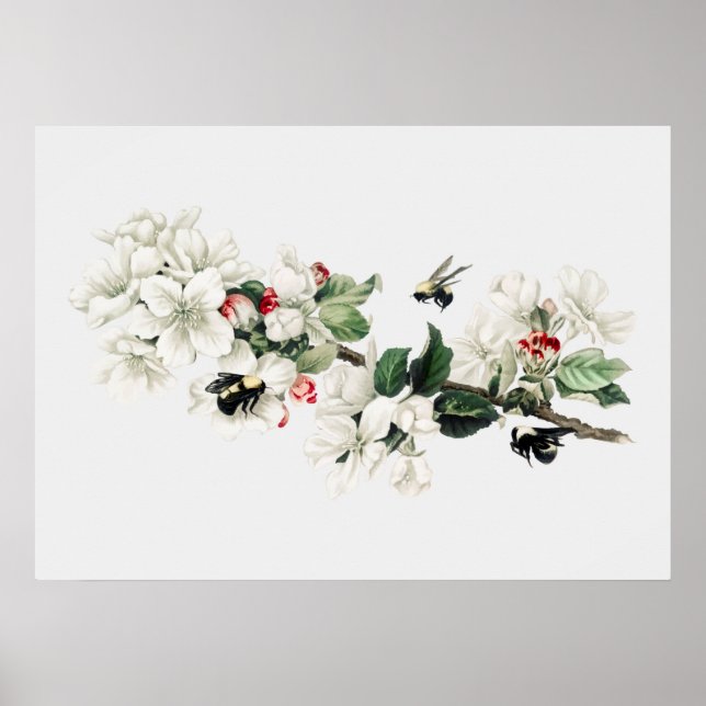 Poster Illustration vintage de l'abeille (Devant)