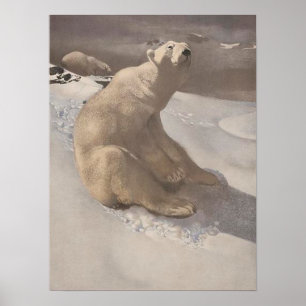 Poster Illustration vintage de l'ours polaire qui s'allon