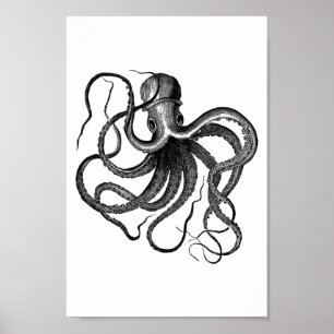 Poster Illustration vintage de poulpe