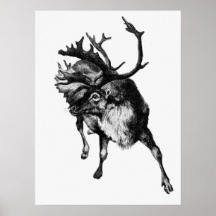 Poster Illustration vintage Deer