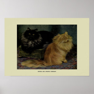 Poster Illustration vintage des chats