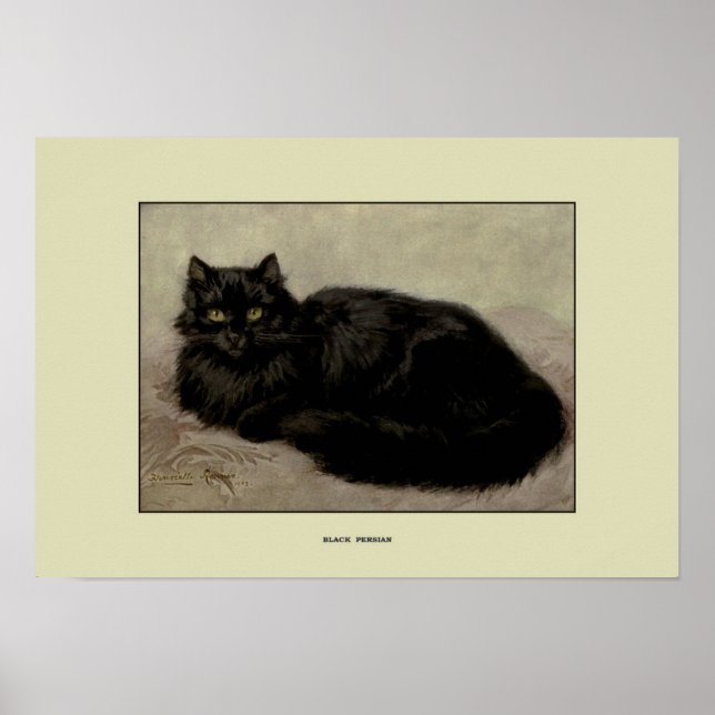 Poster Illustration vintage des chats (Devant)