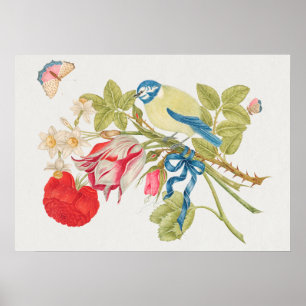 Poster Illustration vintage d'oiseaux