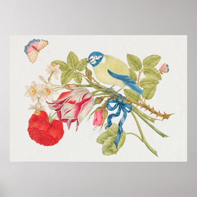 Poster Illustration vintage d'oiseaux (Devant)