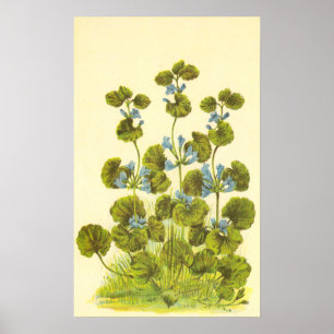 Poster Illustration vintage d'un Plante Charlie rampant