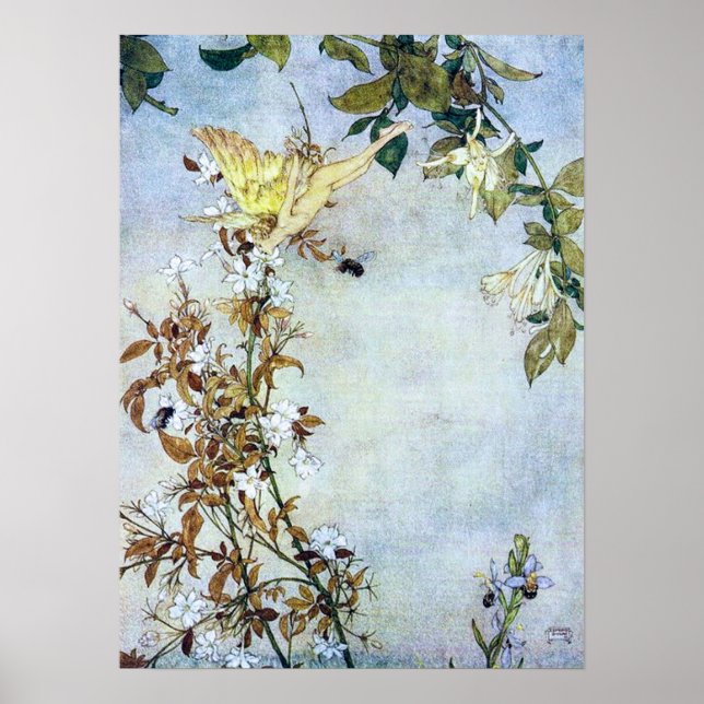 Poster Illustration vintage Edmund Dulac Tempest (Devant)